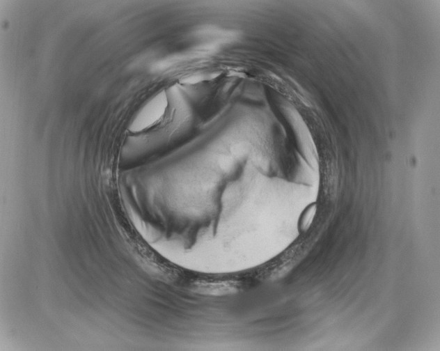 X0000085830553200704132040