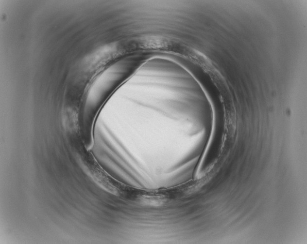 X0000085830556200704132040