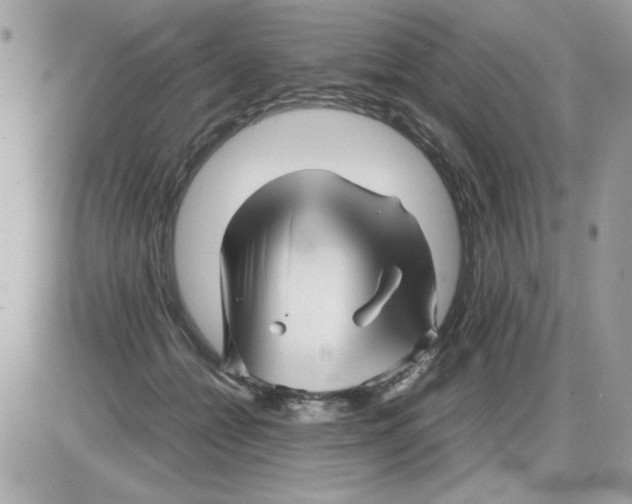 X0000085830558200704132040