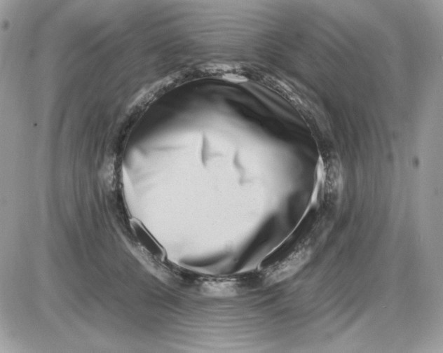 X0000085830560200704132040