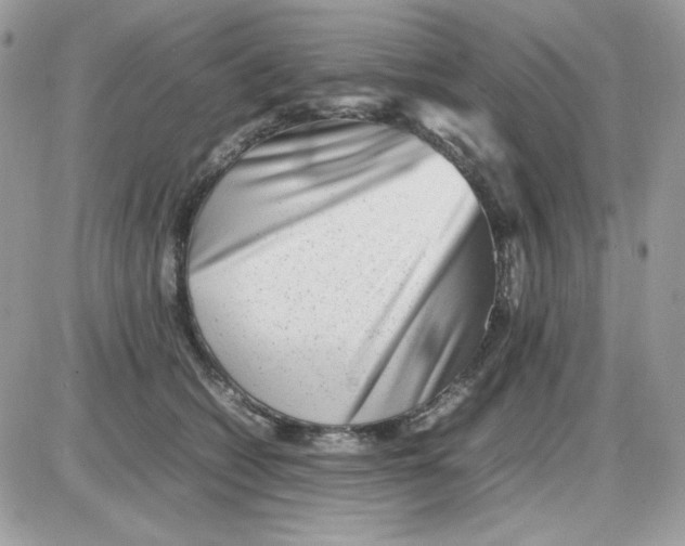 X0000085830562200704132040