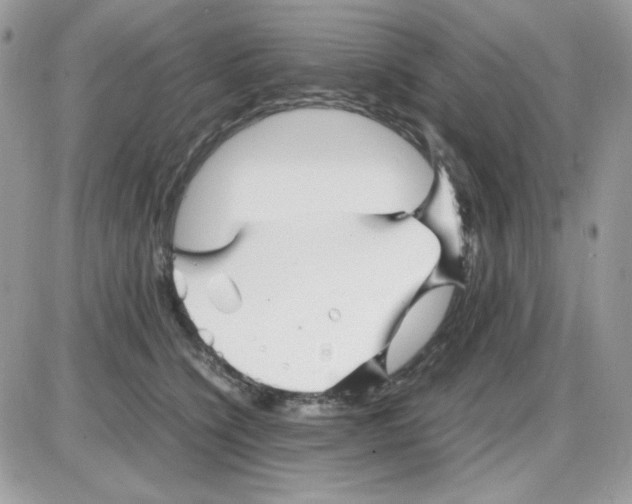 X0000085830564200704132040
