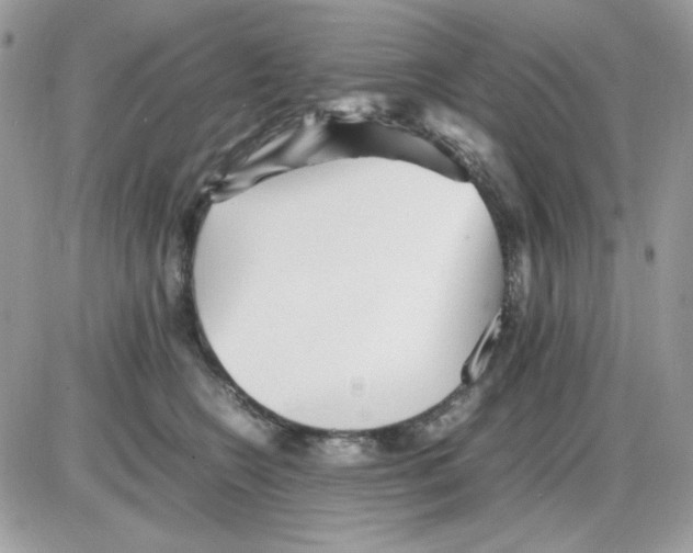 X0000085830566200704132040