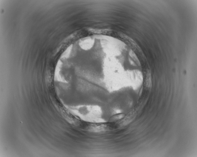 X0000085830569200704132041