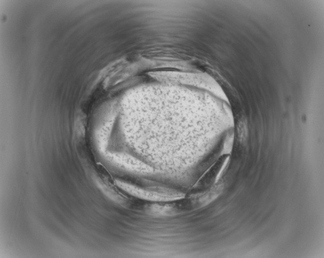 X0000085830570200704132041