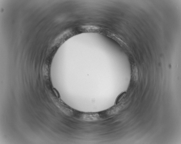 X0000085830571200704132041