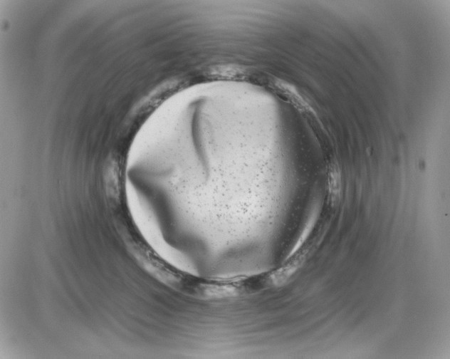 X0000085830572200704132041