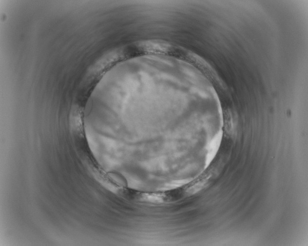 X0000085830573200704132041