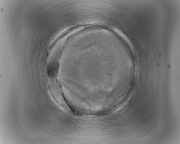X0000085830577200704132040