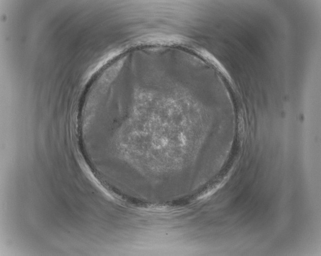 X0000085830581200704132040
