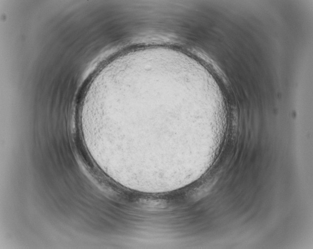 X0000085830582200704132040