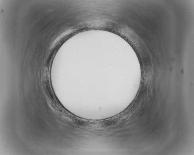 X0000085830583200704132040