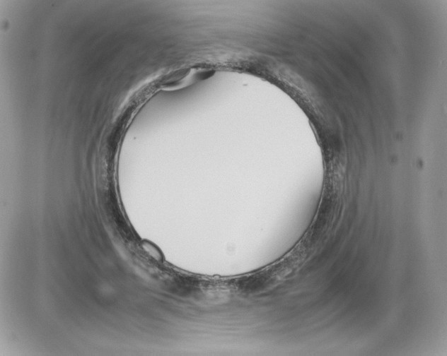 X0000085830587200704132040