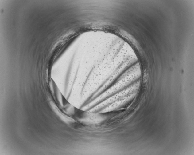 X0000085830589200704132040