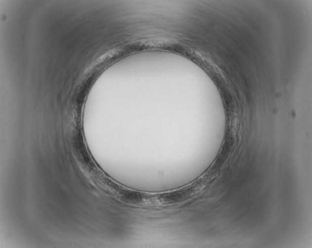 X0000085830591200704132040