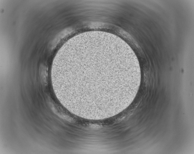 X0000085830592200704132040