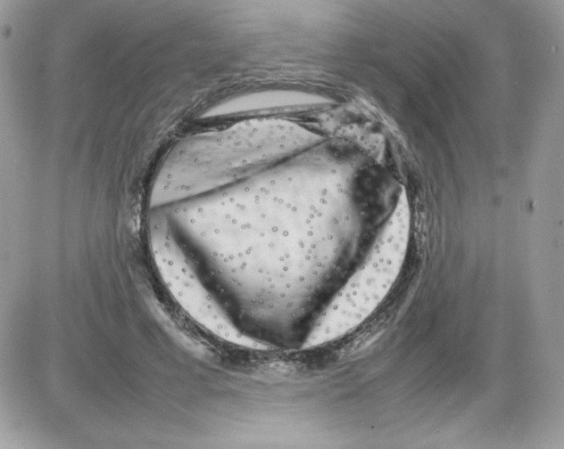 X0000085830593200704132040