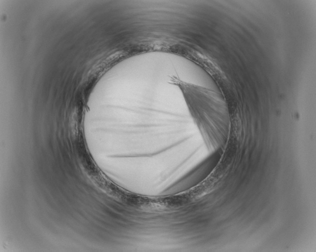 X0000085830594200704132040