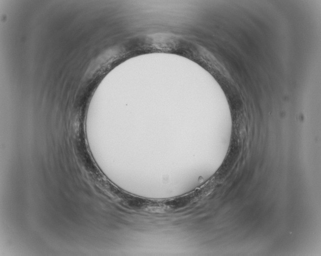 X0000085830595200704132039