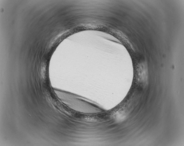 X0000085830596200704132039