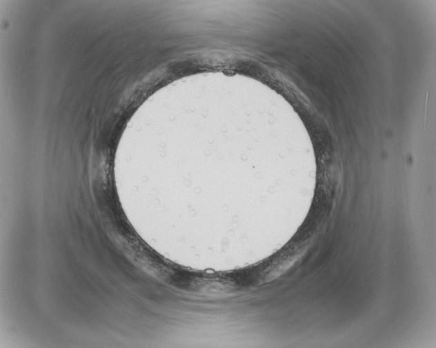 X0000085830597200704132039
