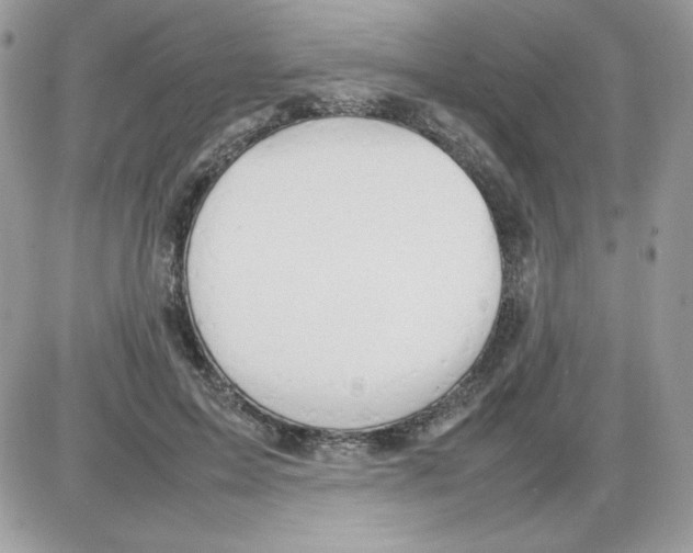 X0000085830599200704132039