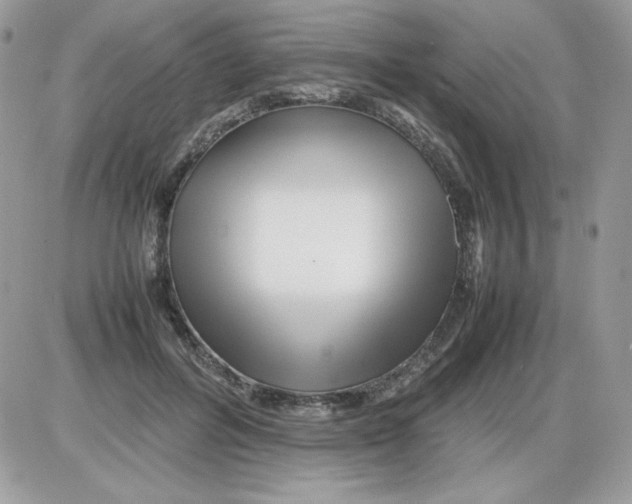 X0000085830600200704132039