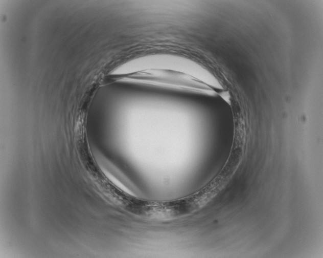 X0000085830601200704132039
