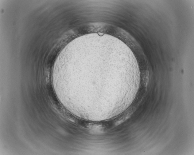 X0000085830602200704132039