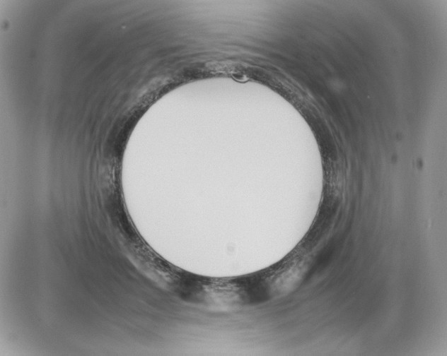 X0000085830603200704132039