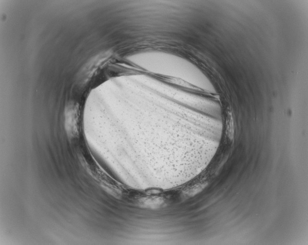 X0000085830604200704132039