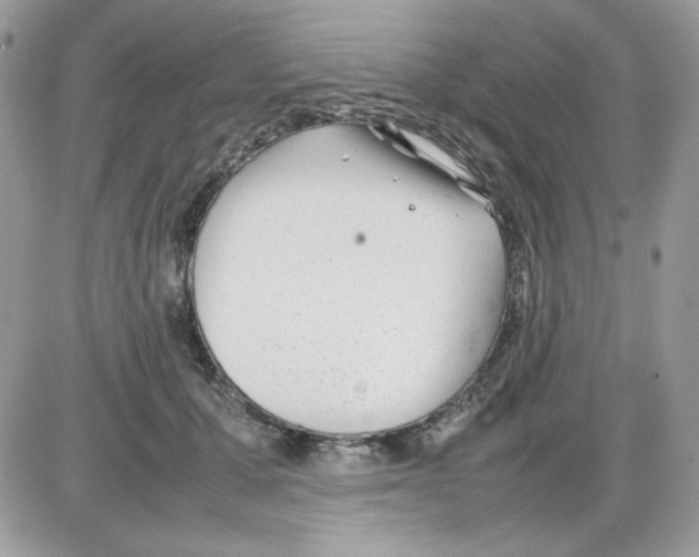 X0000085830607200704132039