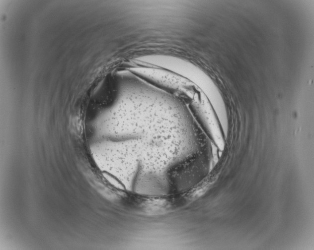 X0000085830609200704132039