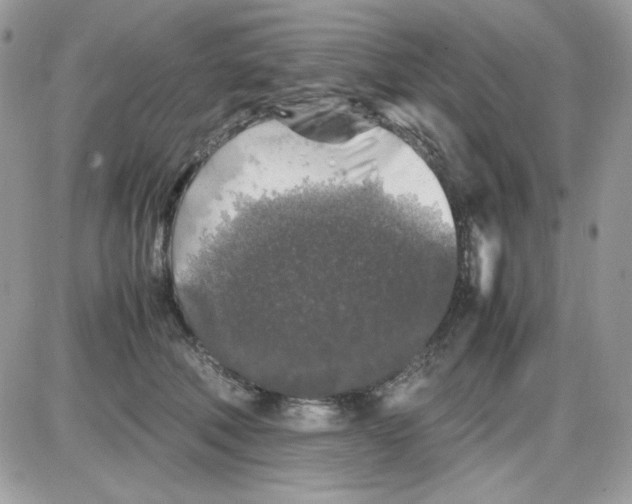 X0000085830610200704132039