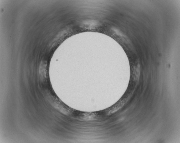 X0000085830612200704132039