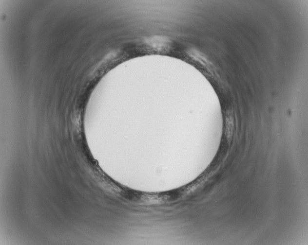 X0000085830613200704132039