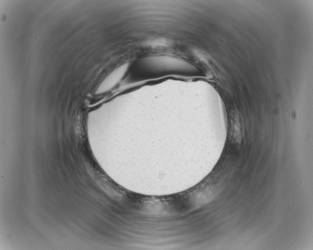 X0000085830616200704132039