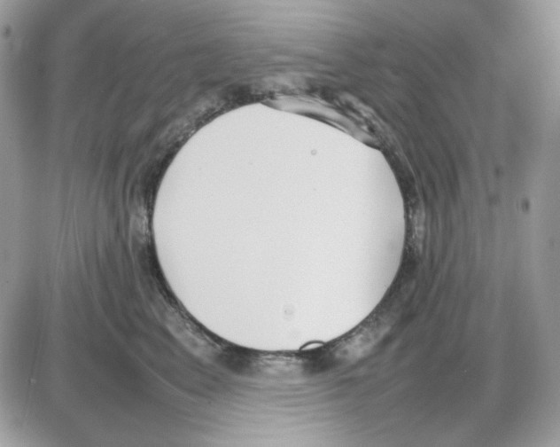 X0000085830617200704132039