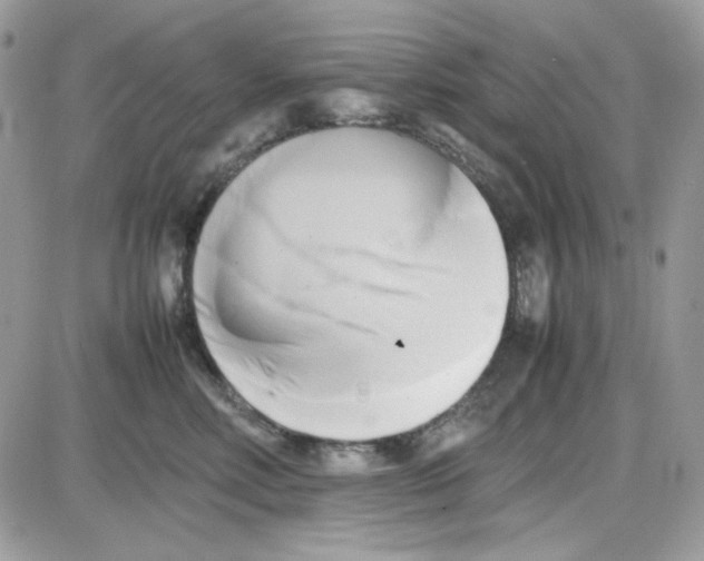 X0000085830618200704132039
