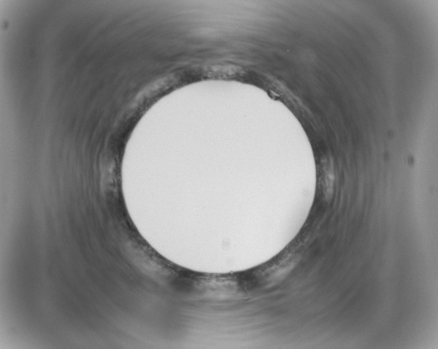 X0000085830619200704132039