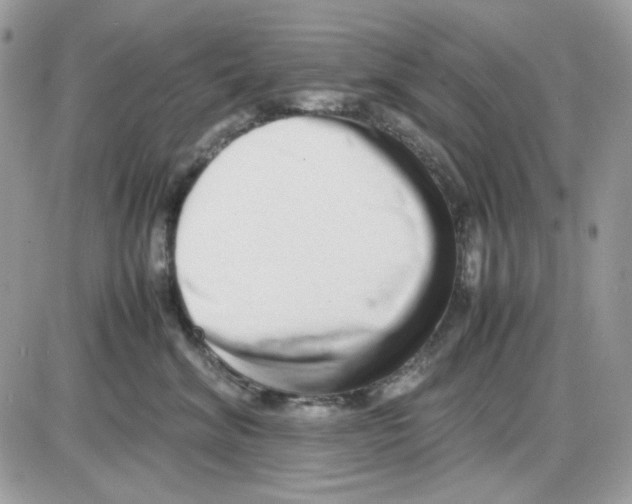X0000085830620200704132039