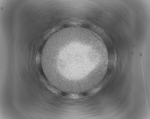 X0000085830623200704132039
