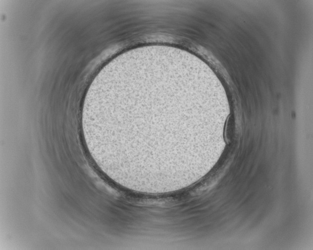 X0000085830625200704132038
