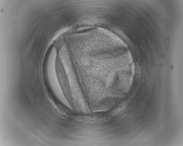 X0000085830626200704132038