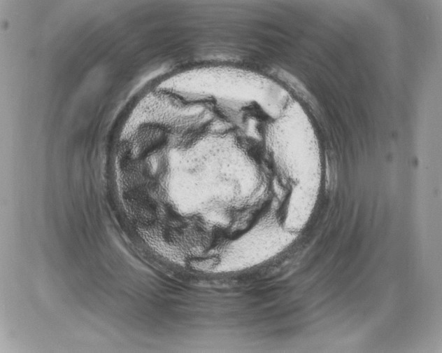 X0000085830627200704132038
