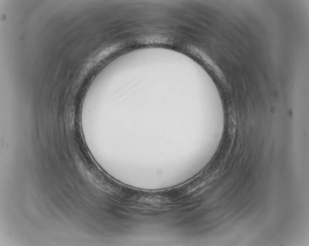 X0000085830631200704132038
