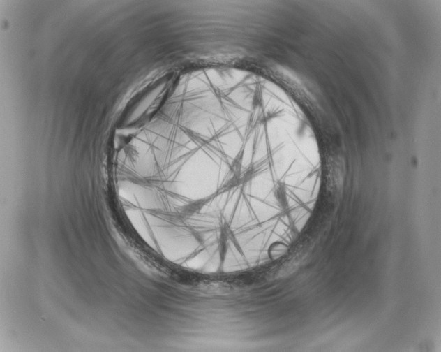 X0000085830634200704132038