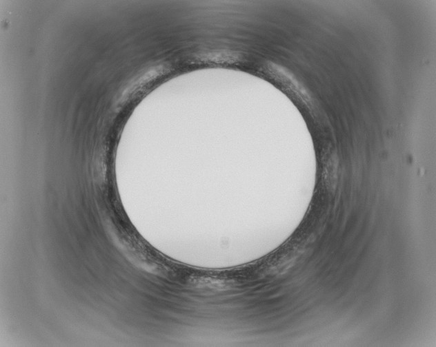 X0000085830635200704132038