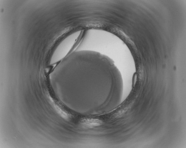 X0000085830637200704132038