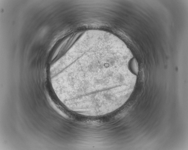 X0000085830638200704132038